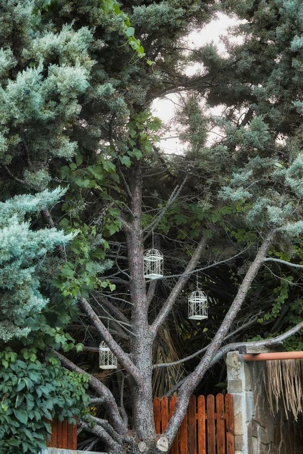 Dm Elegant And Charming Villa Foinikiá Екстериор снимка